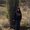 Photo of Diane R.