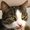 Photo of Qype User (AngiHa…)