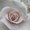 Photo of Darlene G.
