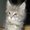 Photo of Qype User (Leila2…)