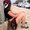Photo of Yulia K.