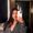 Photo of Yessica H.