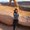 Photo of Xinying H.