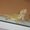 Photo of Qype User (Sturms…)