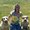 Photo of Dawn P.