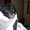 Photo of qwerty s.