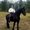 Photo of Tyler R.