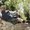Photo of Kaius H.