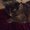 Photo of Susan T.