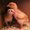 Photo of G R.