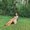 Photo of Clowie Angelica R.