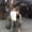 Photo of Hayley O.