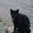 Photo of Keiko Y.