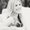 Photo of Jessica N.