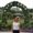 Photo of Soheila T.