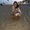 Photo of Hanna P.