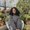 Photo of Sabreen A.