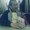 Photo of Sonam L.