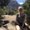 Photo of Ranie C.