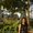 Photo of Bhavya M.