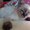 Photo of Qype User (Filemk…)