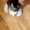 Photo of Hannah F.