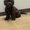 Photo of Natoya C.
