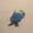 Photo of Mike S.