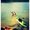 Photo of Corey B.