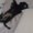 Photo of Dayvid K.