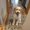 Photo of Dalene B.