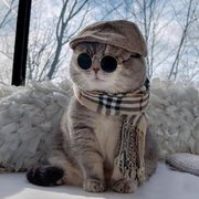 google avatar