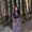 Photo of Priya R.