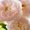 Photo of Qype User (Rasch…)