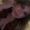 Photo of Chantal G.