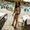 Photo of Amber F.