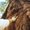Photo of Earth W.