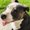 Photo of Boopaw H.