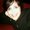 Photo of natasha m.