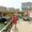 Photo of Sonia J.