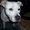 Photo of Qype User (cocco7…)