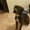 Photo of Charon H.
