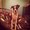Photo of Carly P.