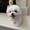 Photo of Yuki Y.