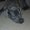 Photo of Delisa L.