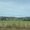 Photo of Olivia L.