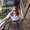 Photo of Megan K.