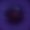 Photo of Owl F.