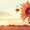 Photo of Lesette G.