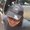 Photo of Arianne G.